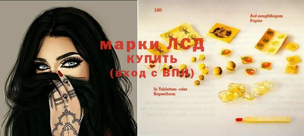 СК Алексин