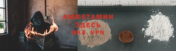 СК Алексин