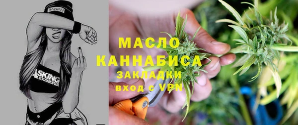 СК Алексин